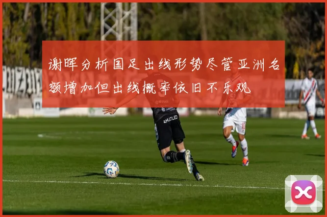 谢晖分析国足出线形势尽管亚洲名额增加但出线概率依旧不乐观